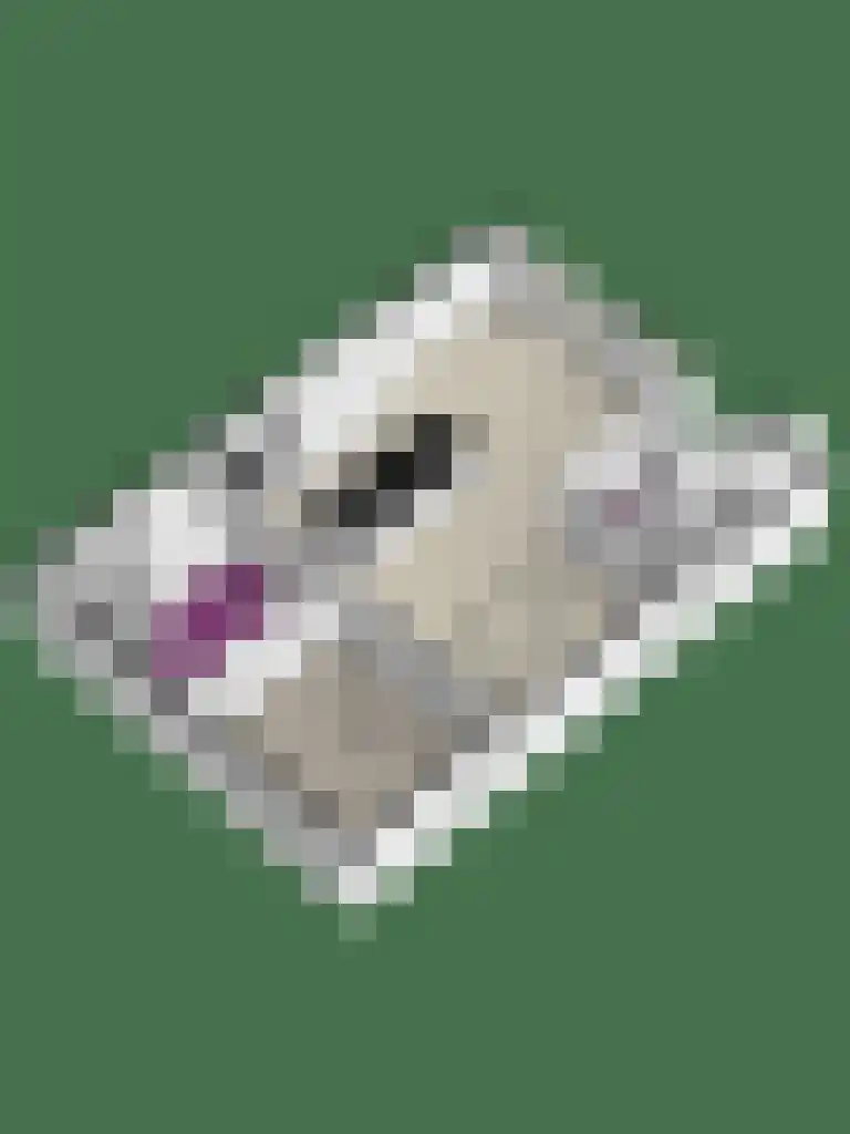 Kempersweg 9 b Beltrum thumbnail 40
