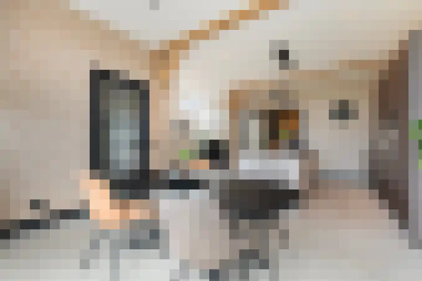 Kempersweg 9 b Beltrum thumbnail 7