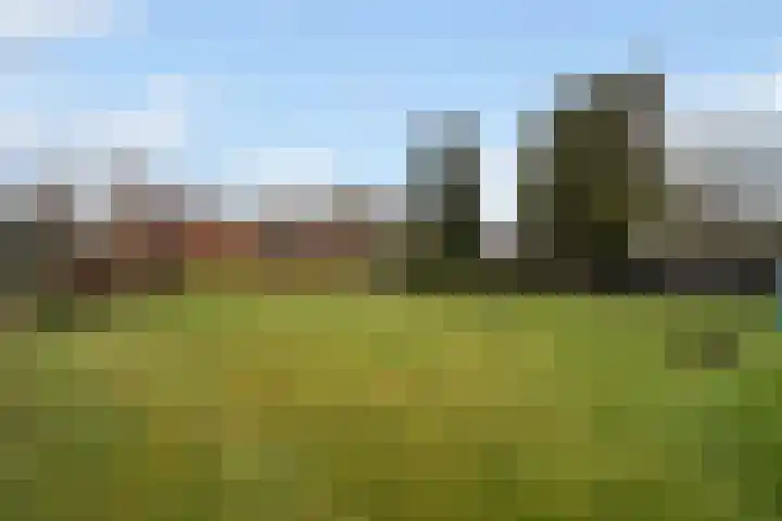 Kemperveldweg 30 Weert thumbnail 36