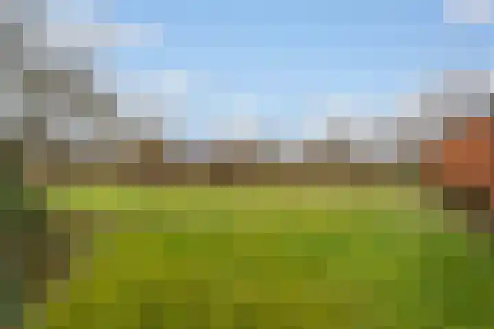 Kemperveldweg 30 Weert thumbnail 37