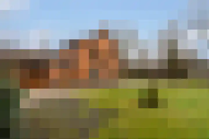 Kemperveldweg 30 Weert thumbnail 43