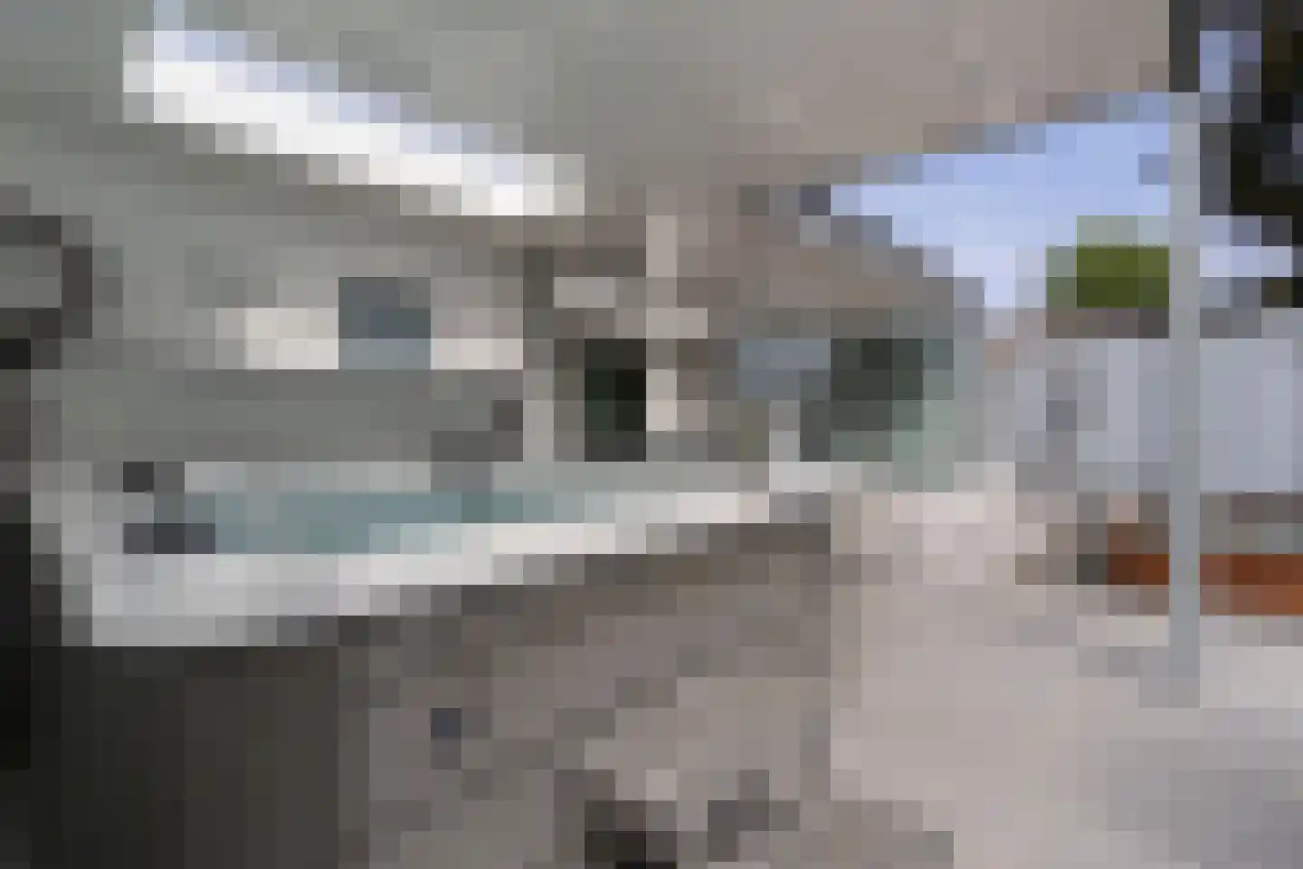 Kemperveldweg 44 Weert thumbnail 39