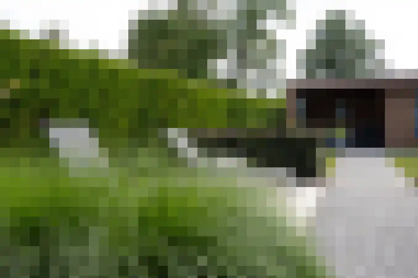 Kemperveldweg 44 Weert thumbnail 45