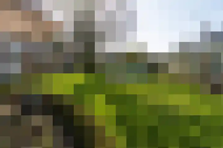 Kemperveldweg 46 Weert thumbnail 37