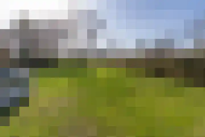 Kemperveldweg 46 Weert thumbnail 41