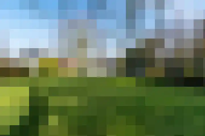 Kemperveldweg 46 Weert thumbnail 44