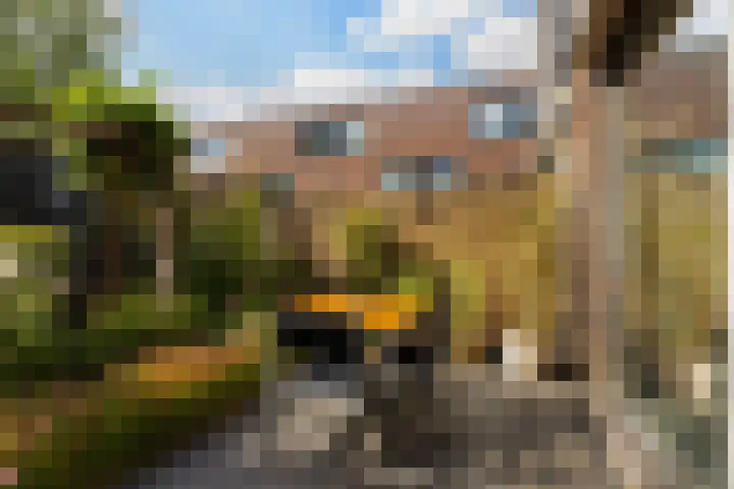 Kemperweg 21 Rotterdam thumbnail 29