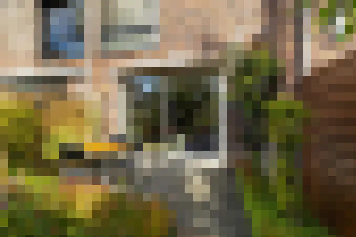 Kemperweg 21 Rotterdam thumbnail 30