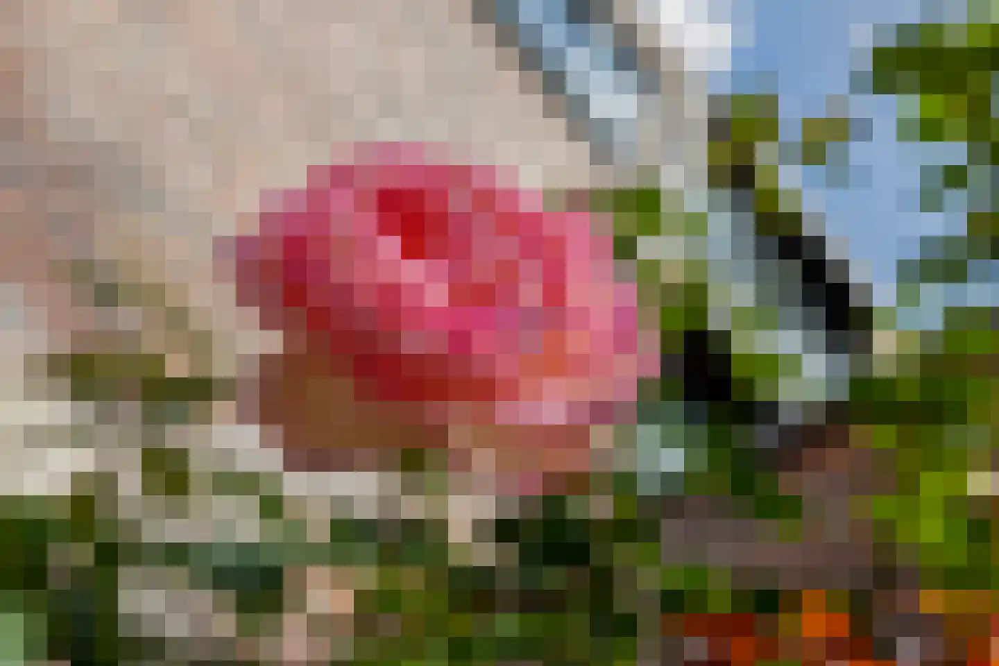 Kemperweg 21 Rotterdam thumbnail 31