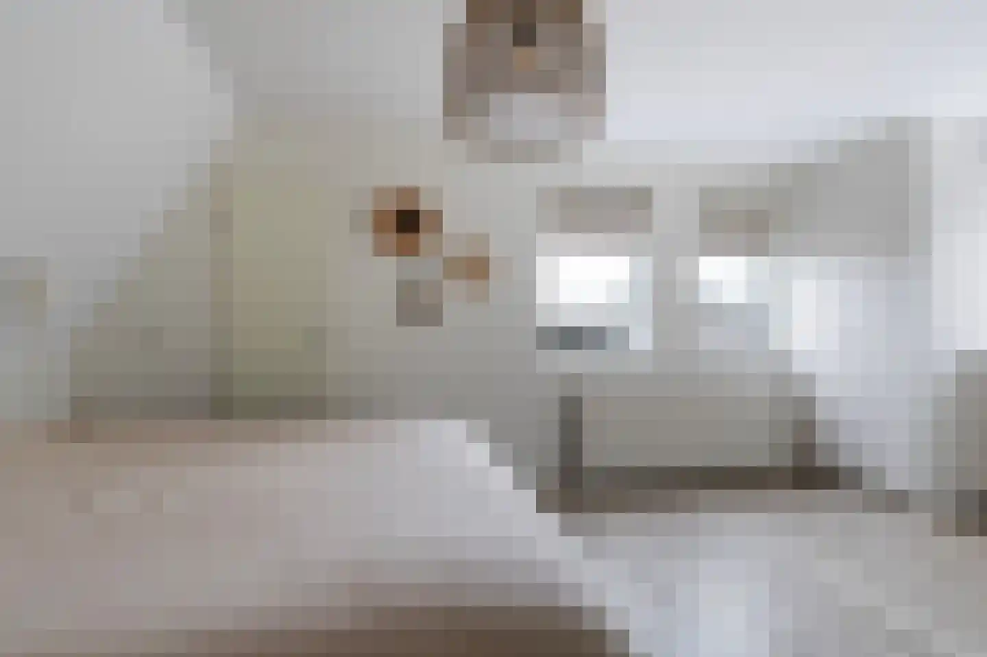 Kemperweg 5 Markelo thumbnail 31