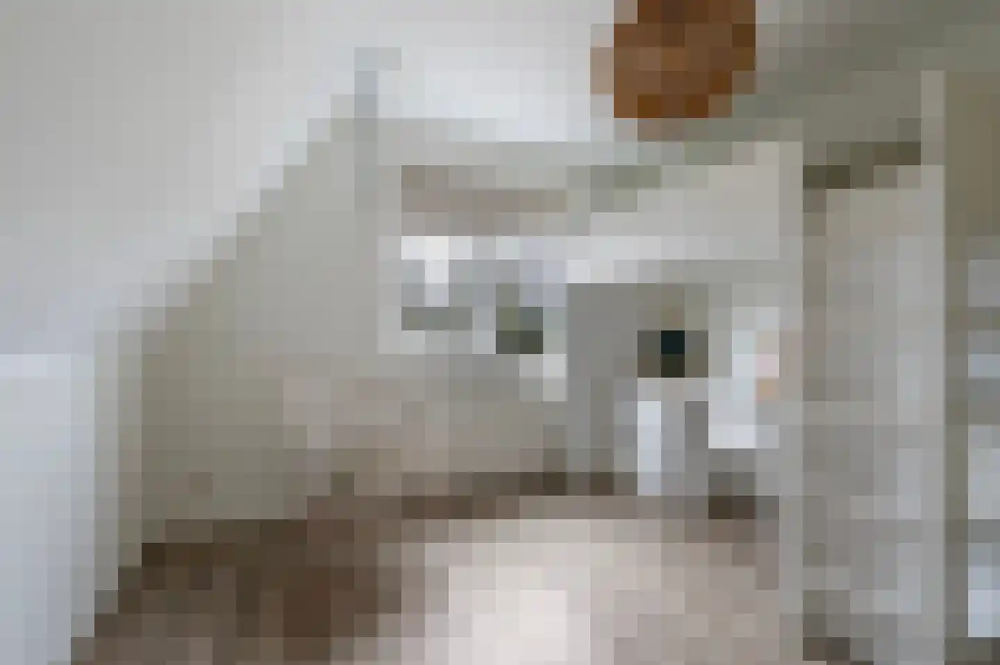 Kemperweg 5 Markelo thumbnail 38