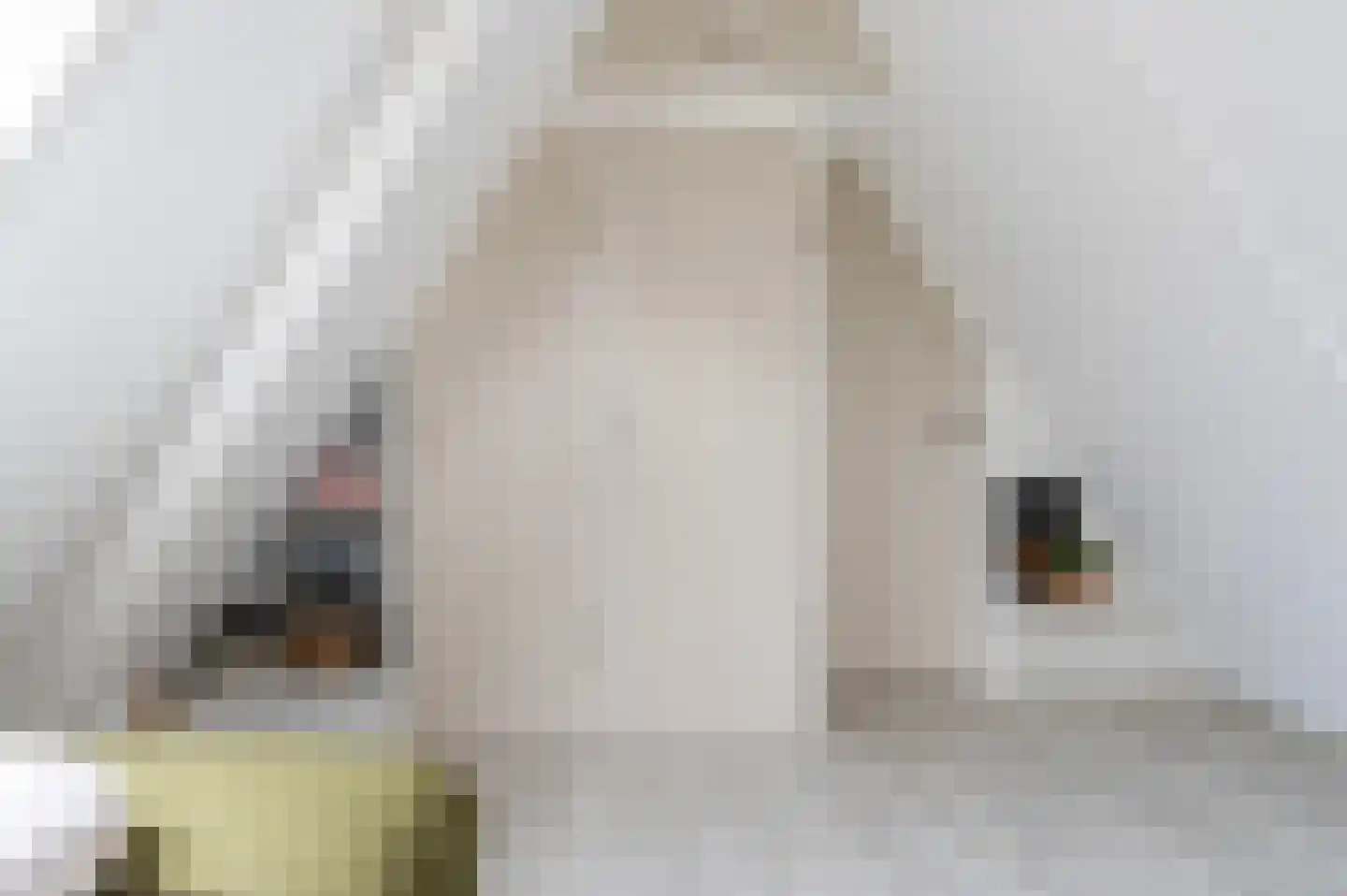 Kemperweg 5 Markelo thumbnail 42