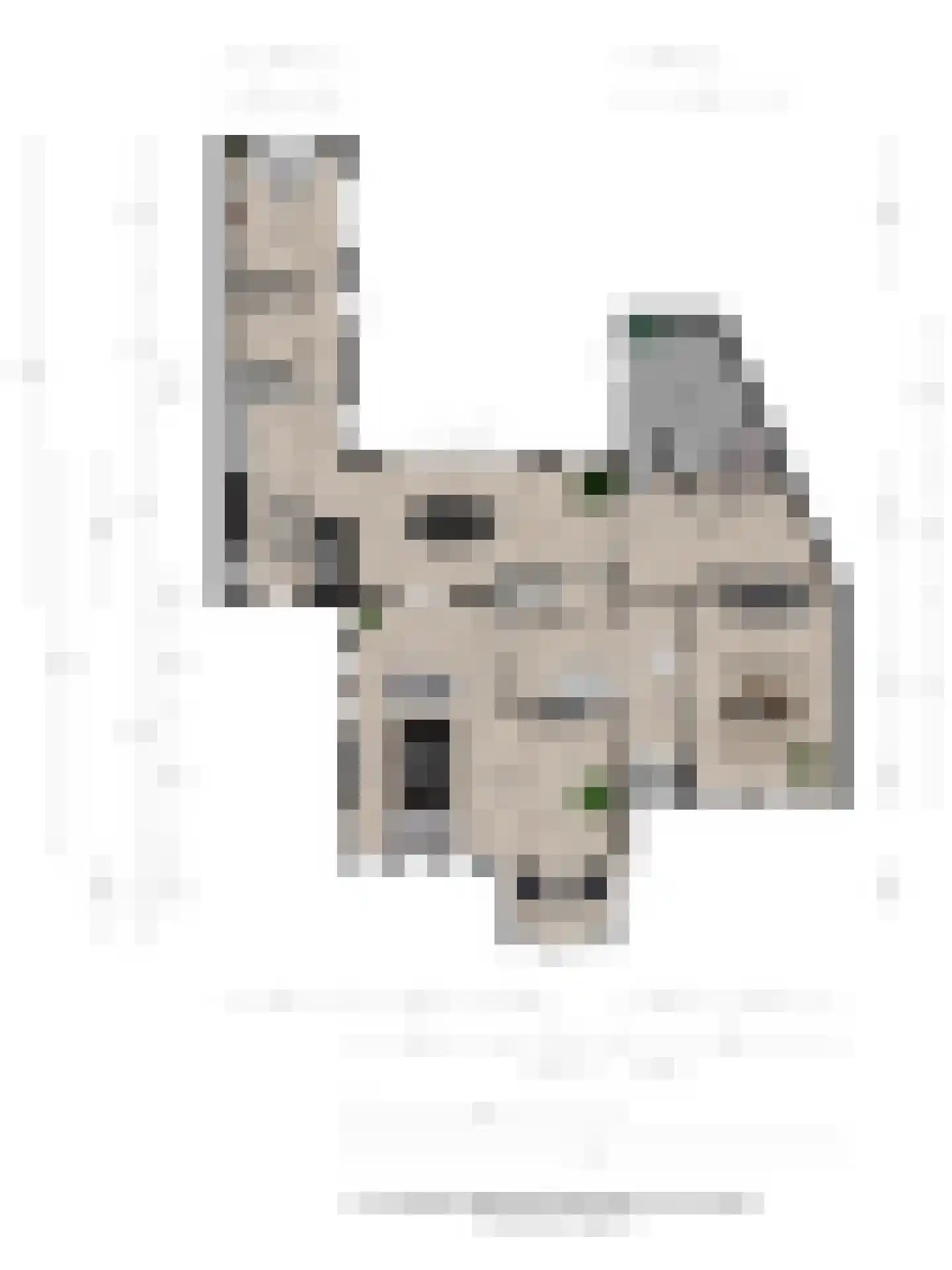 Kemperweg 5 Markelo thumbnail 47
