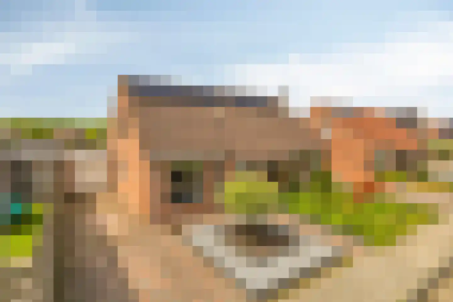 Kemphaan 1 Grootegast