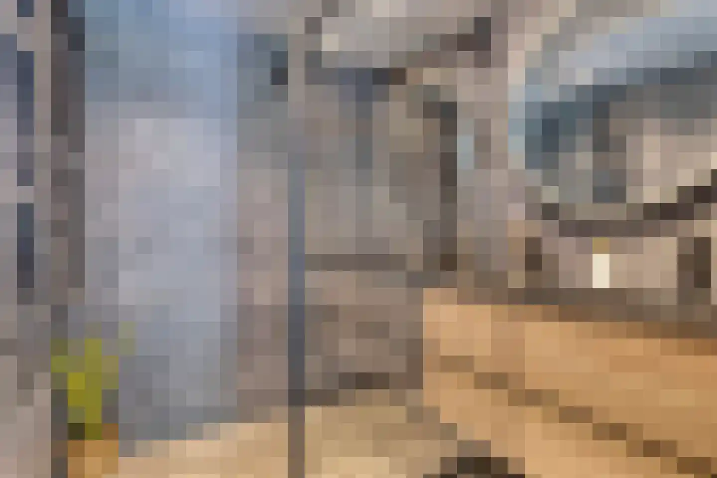 Kemphaan 1 Grootegast thumbnail 15