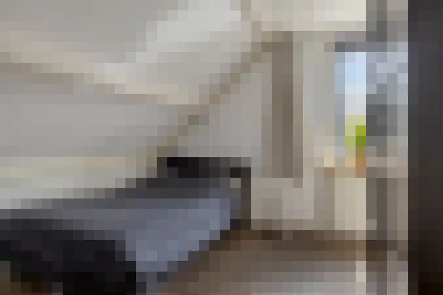 Kemphaan 1 Grootegast thumbnail 18