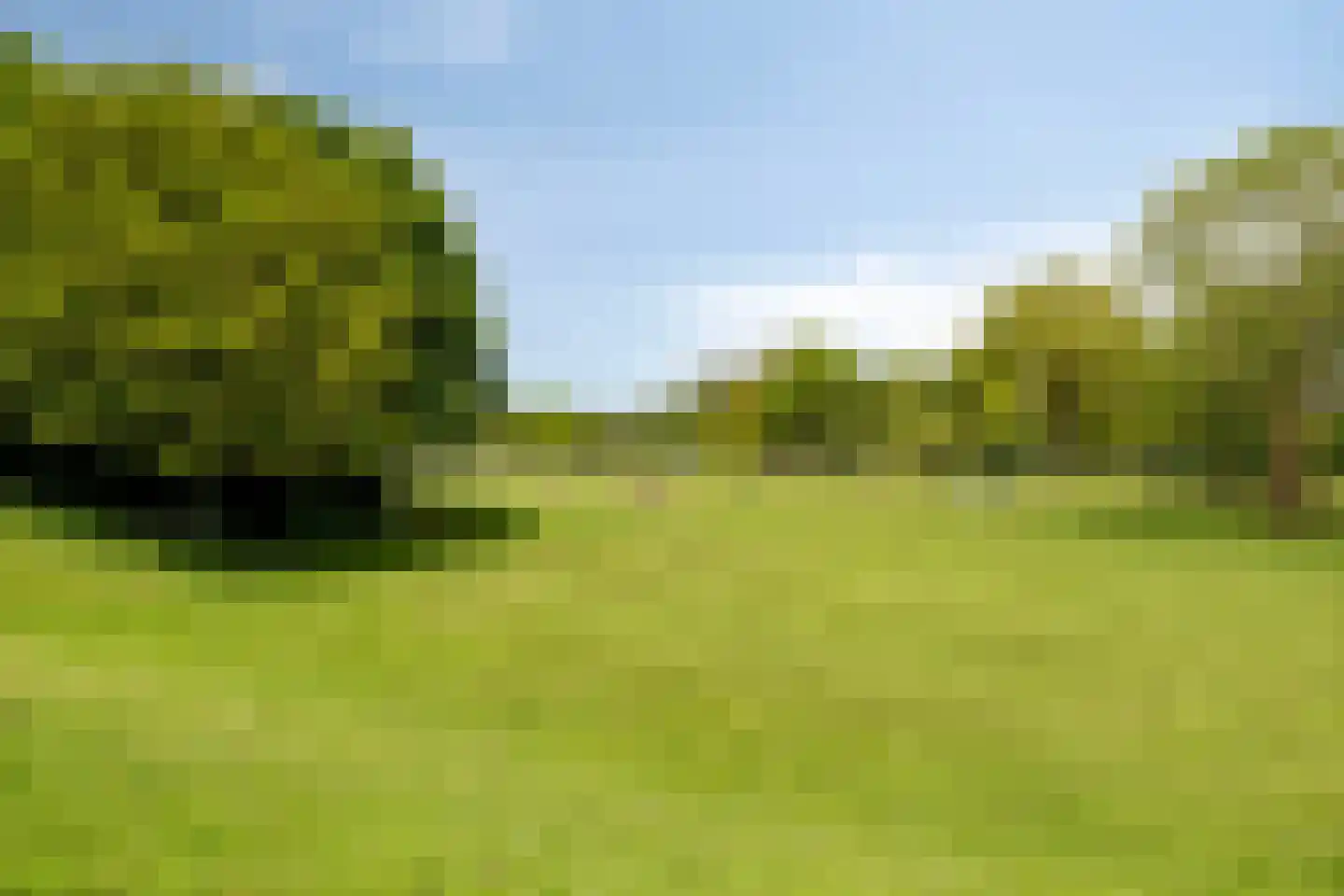 Kemphaan 1 Grootegast thumbnail 32