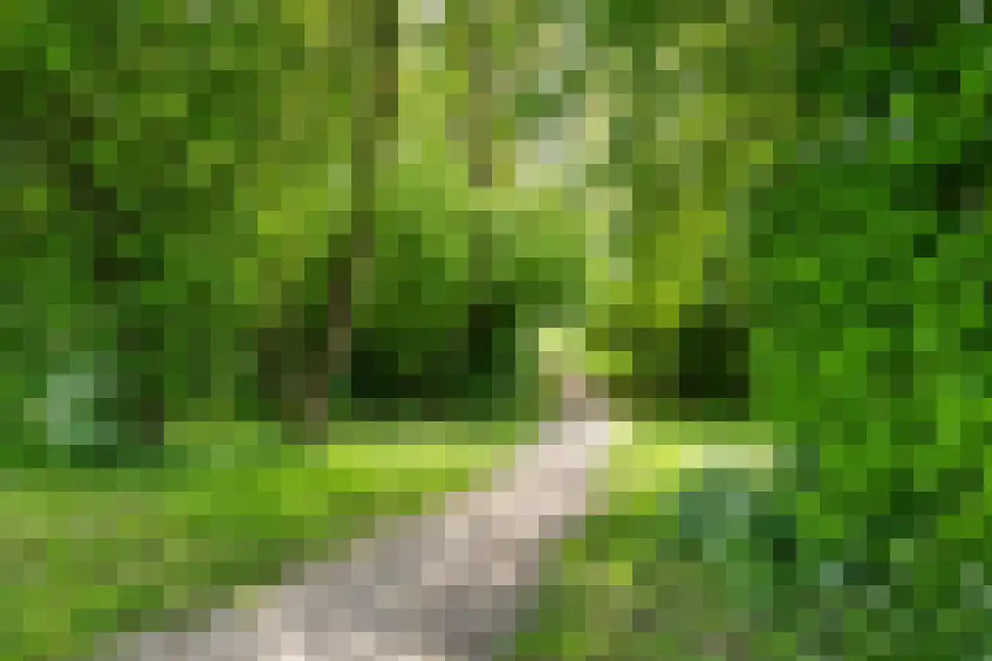 Kemphaan 1 Grootegast thumbnail 33