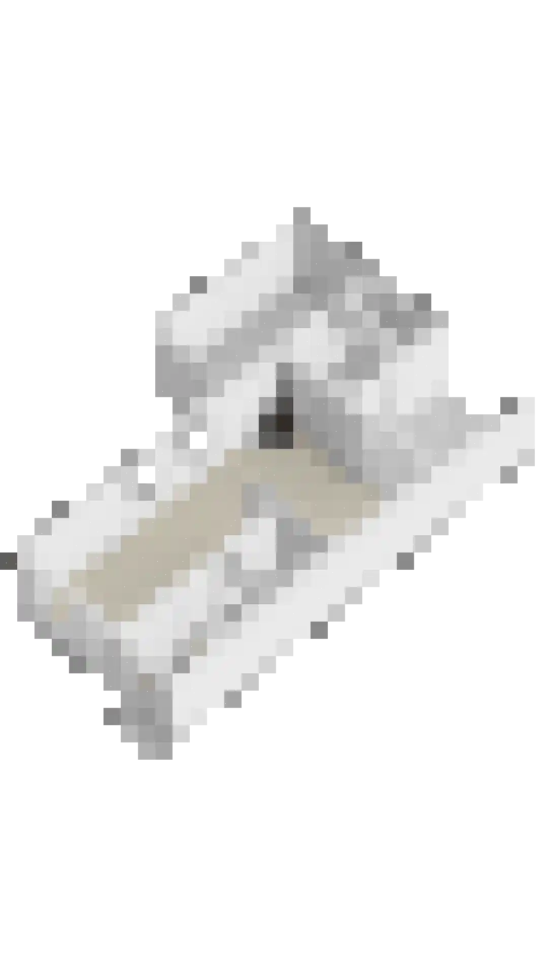 Kemphaan 1 Grootegast thumbnail 38