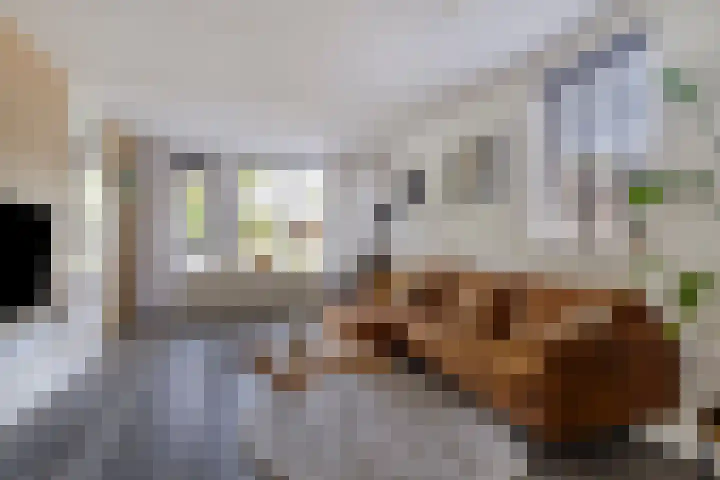 Kemphaan 1 Grootegast thumbnail 6