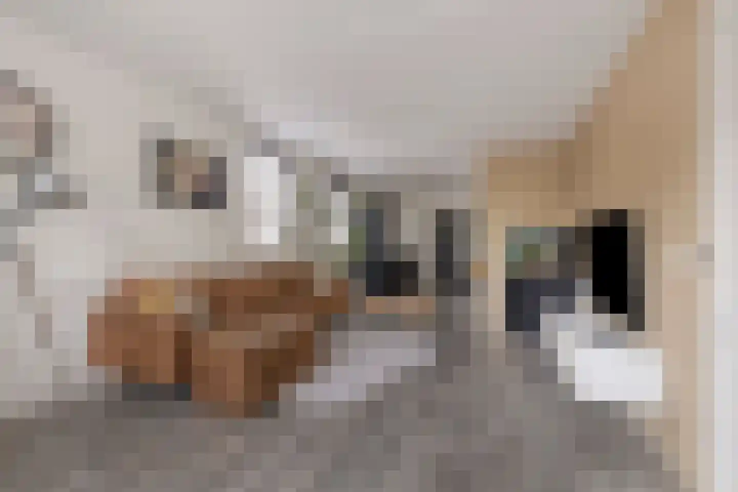 Kemphaan 1 Grootegast thumbnail 7