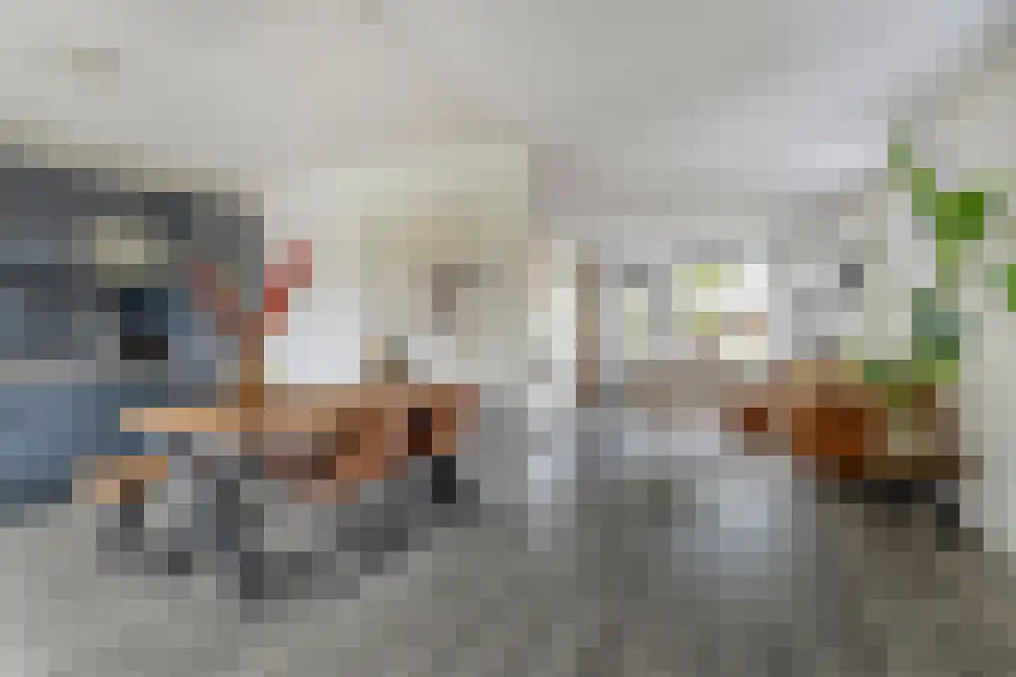 Kemphaan 1 Grootegast thumbnail 8