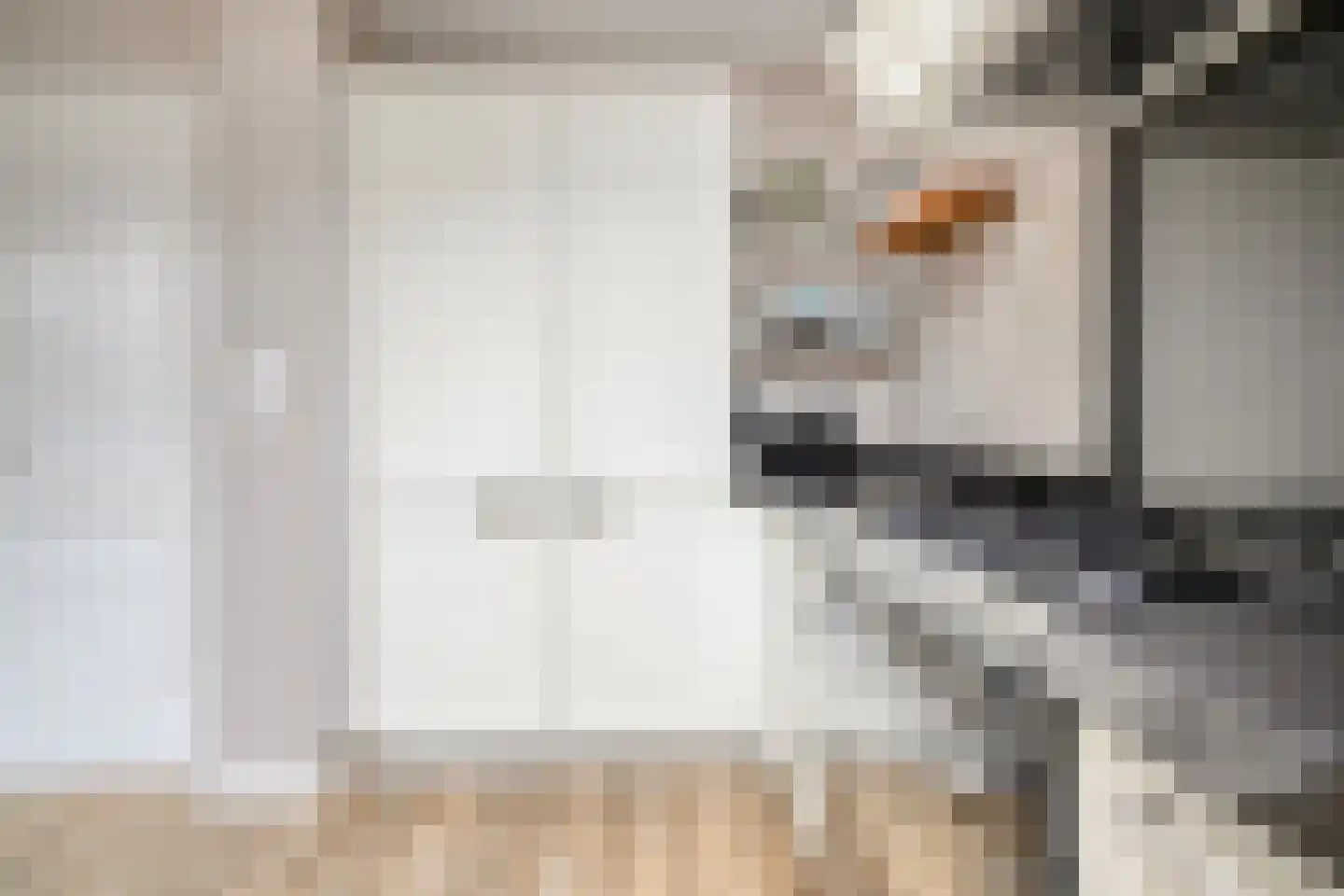 Kemphaan 1 Ilpendam thumbnail 16