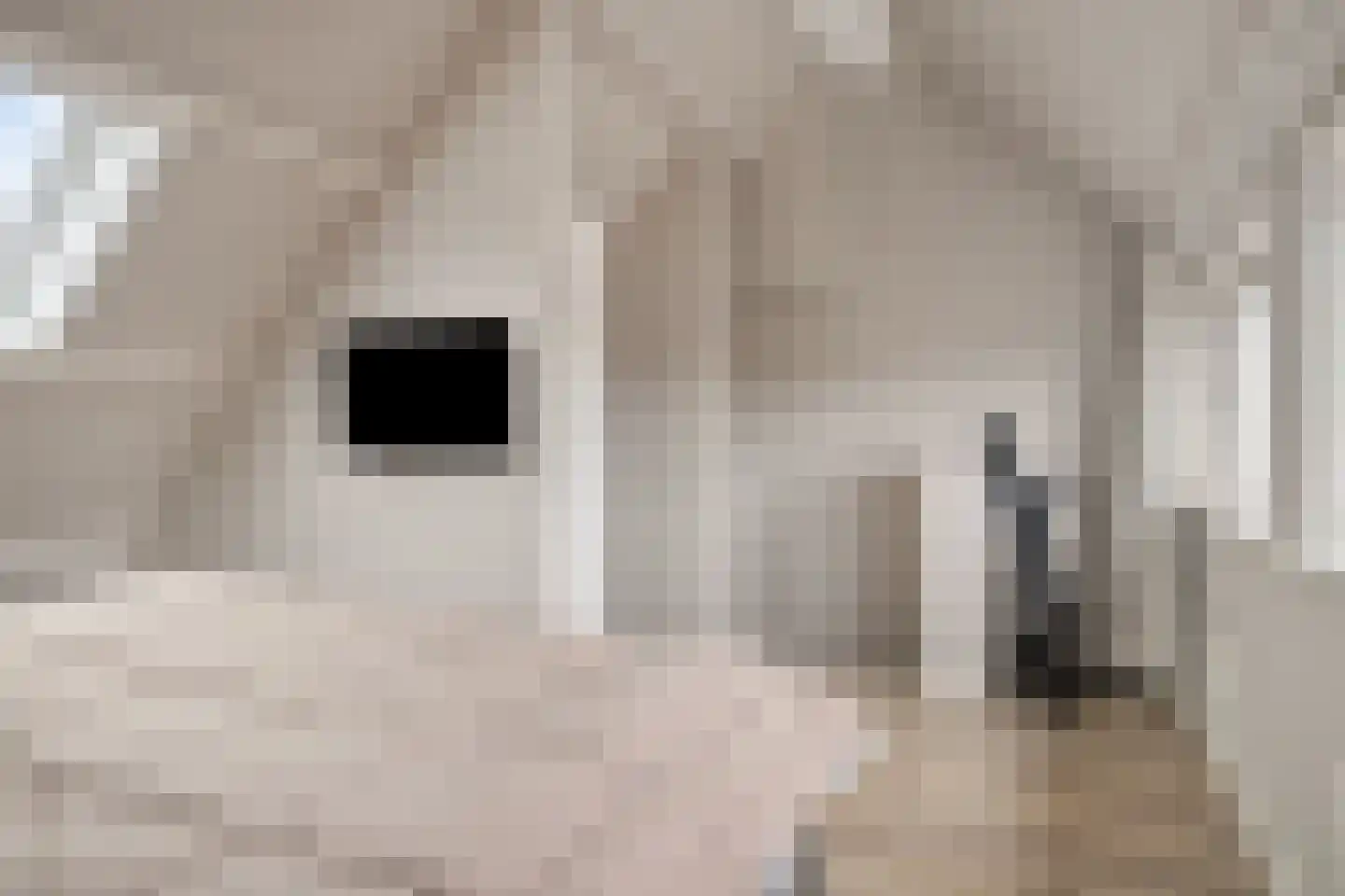 Kemphaan 1 Ilpendam thumbnail 29