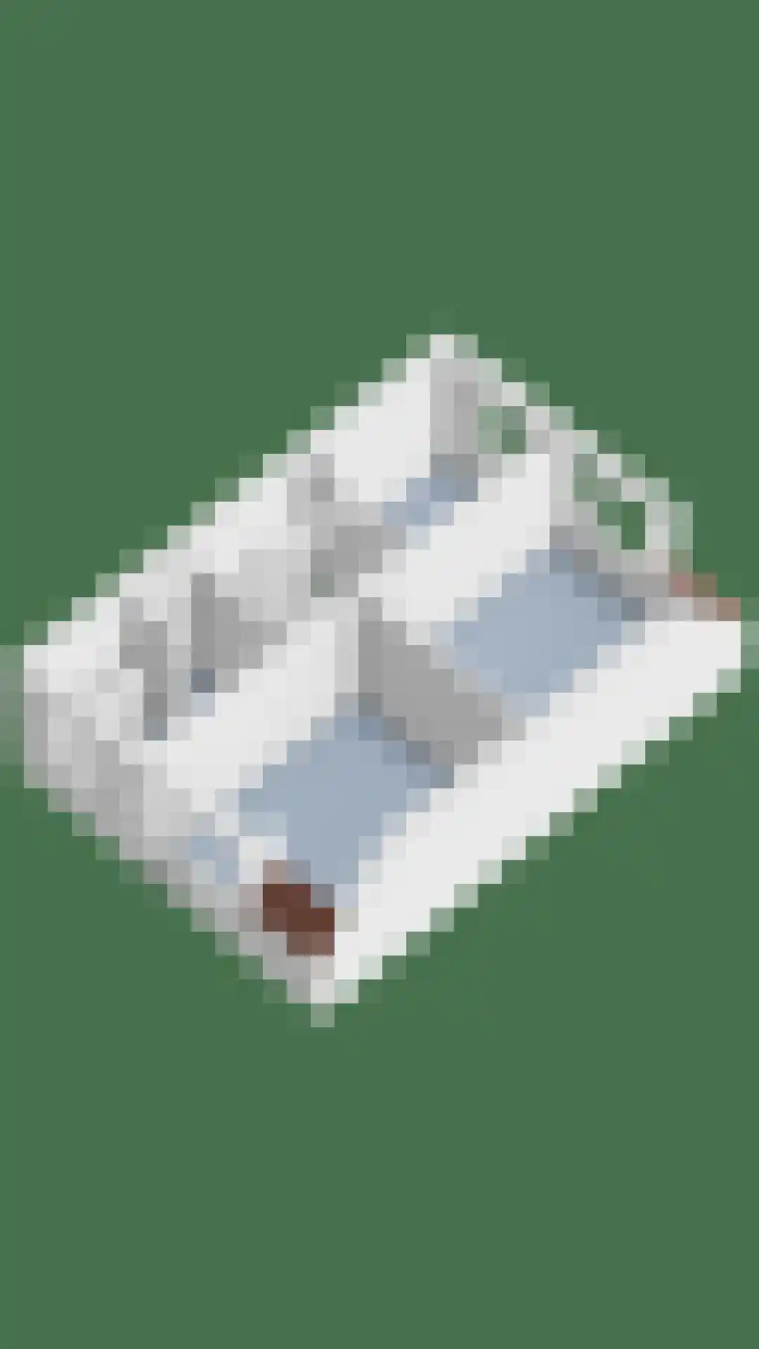 Kemphaan 1 Ilpendam thumbnail 47