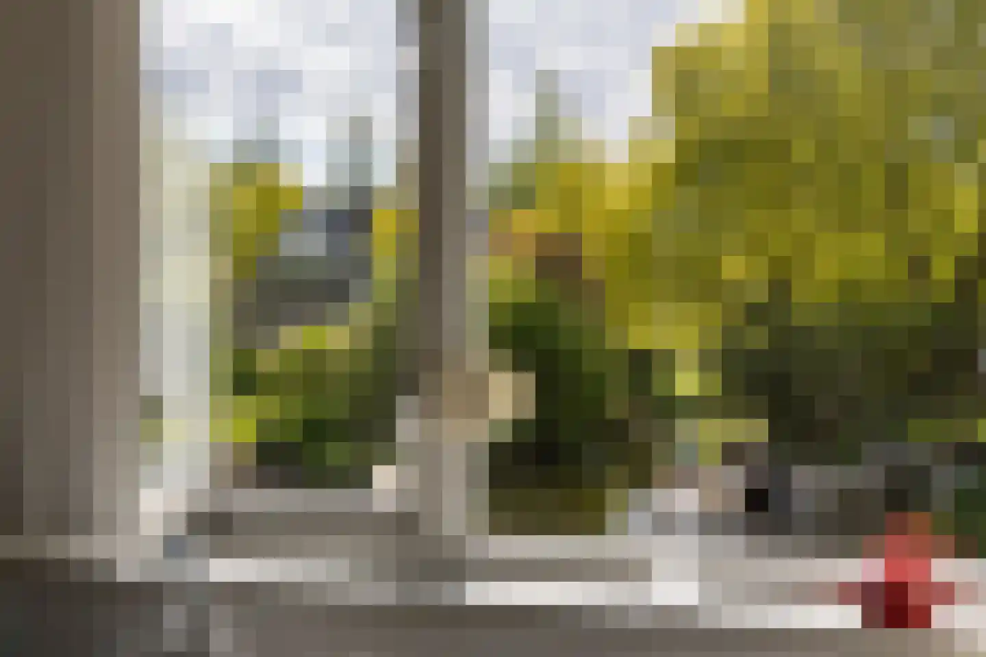 Kemphaan 1 Zuid-Scharwoude thumbnail 15