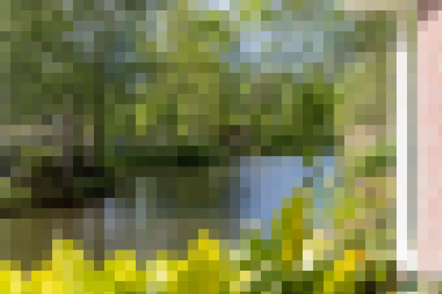 Kemphaan 1 Zuid-Scharwoude thumbnail 16