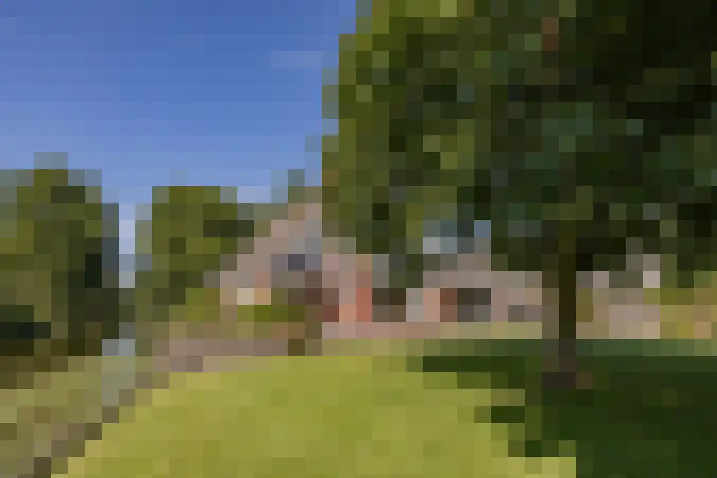 Kemphaan 1 Zuid-Scharwoude thumbnail 32