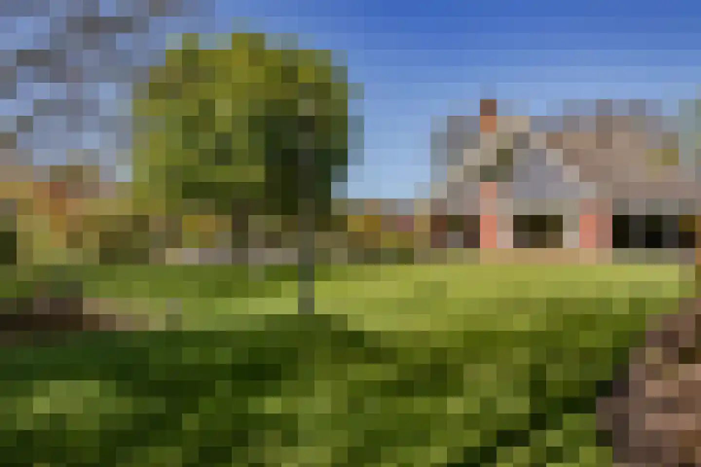 Kemphaan 1 Zuid-Scharwoude thumbnail 32