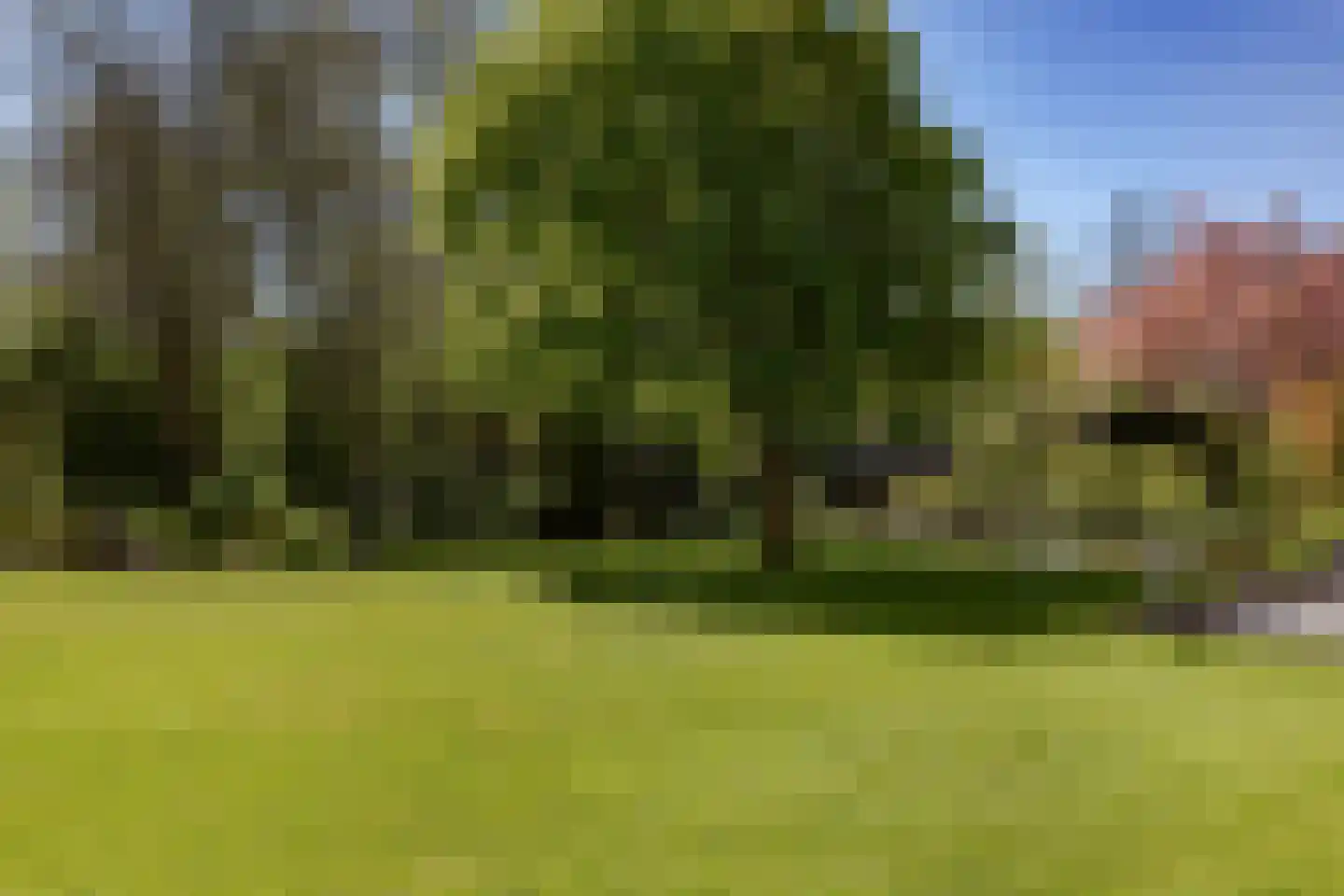 Kemphaan 1 Zuid-Scharwoude thumbnail 34