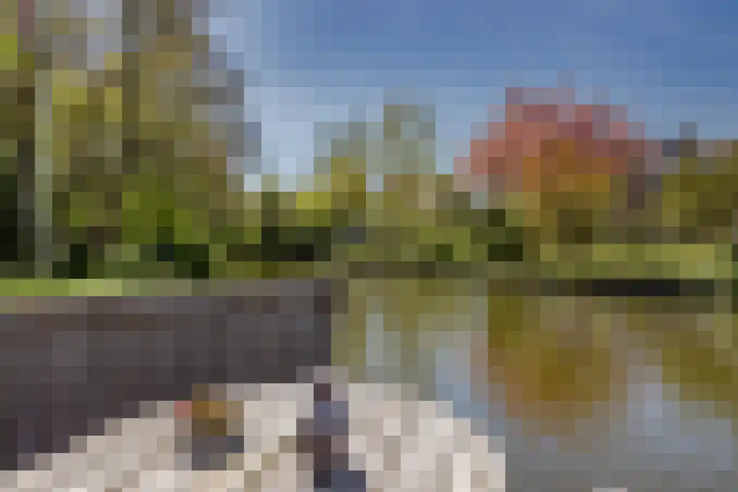 Kemphaan 1 Zuid-Scharwoude thumbnail 36