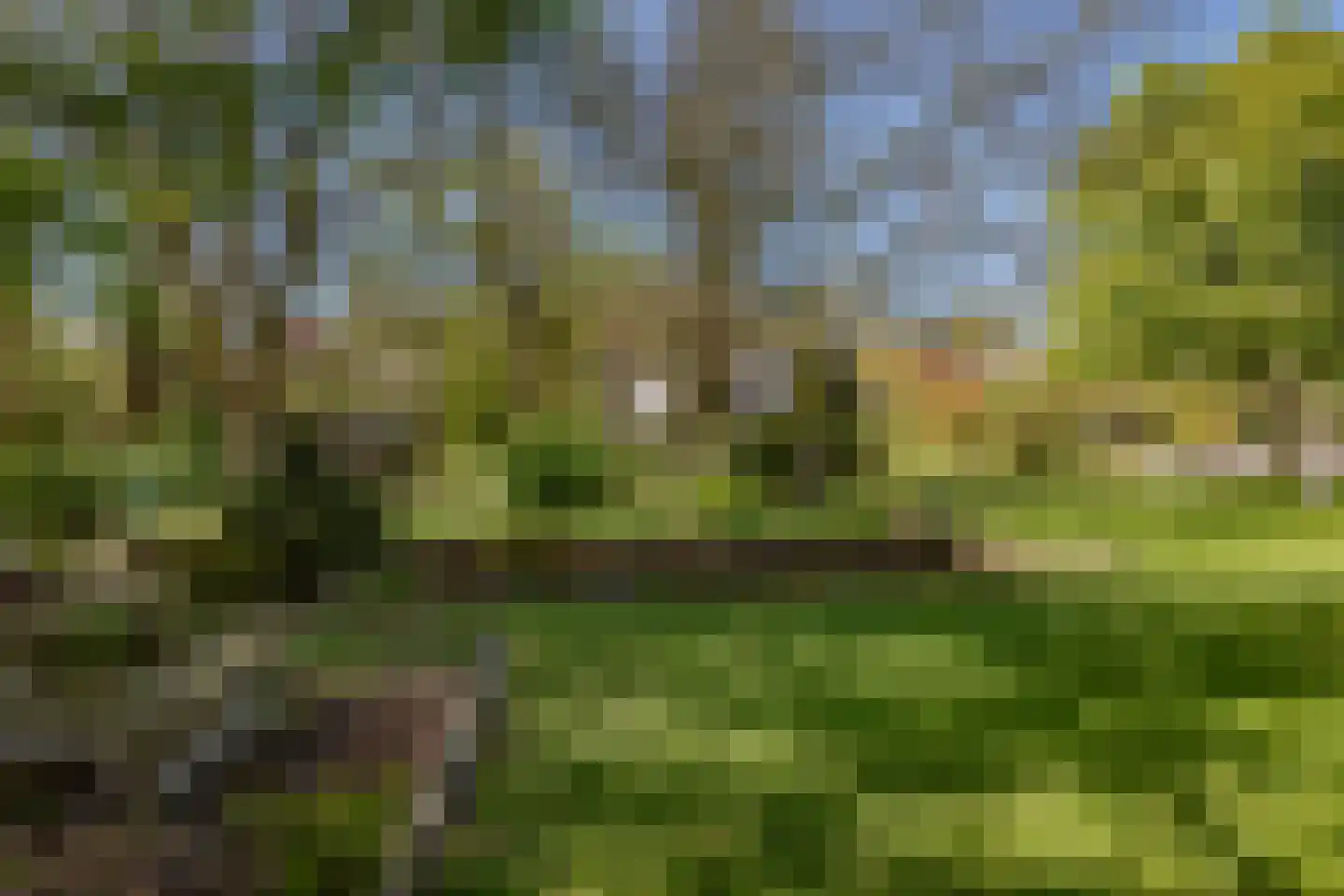 Kemphaan 1 Zuid-Scharwoude thumbnail 36
