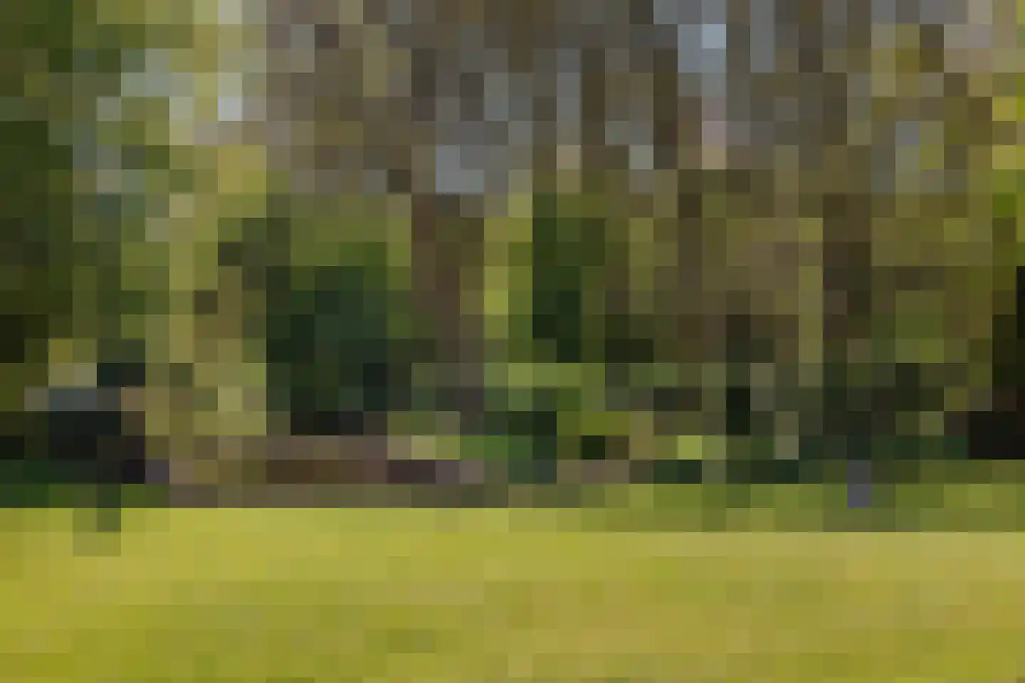 Kemphaan 1 Zuid-Scharwoude thumbnail 37