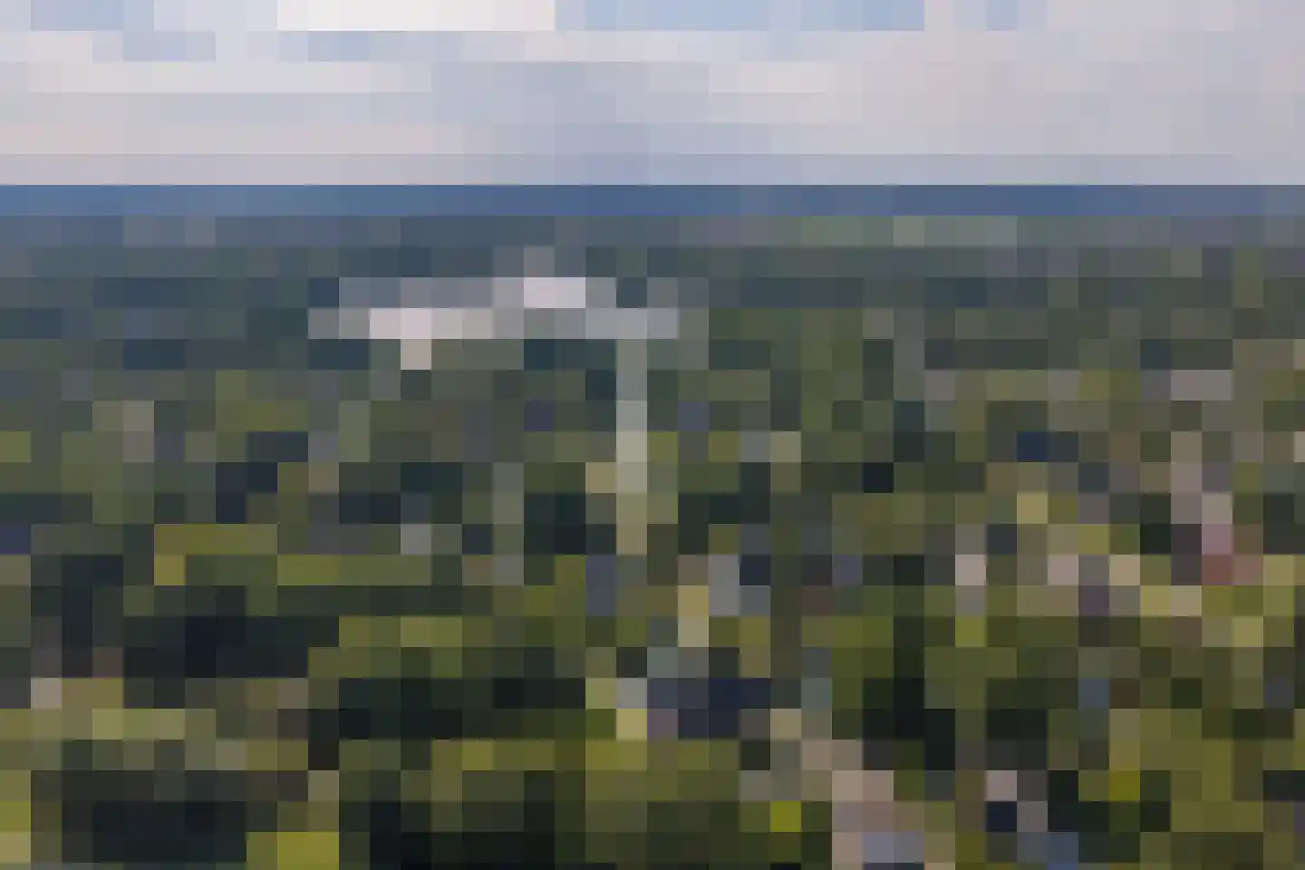 Kemphaan 1 Zuid-Scharwoude thumbnail 4