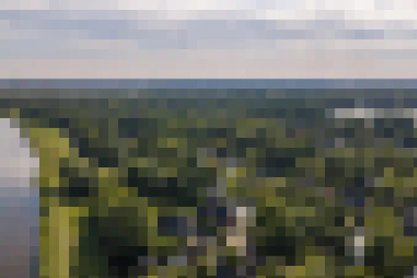 Kemphaan 1 Zuid-Scharwoude thumbnail 40
