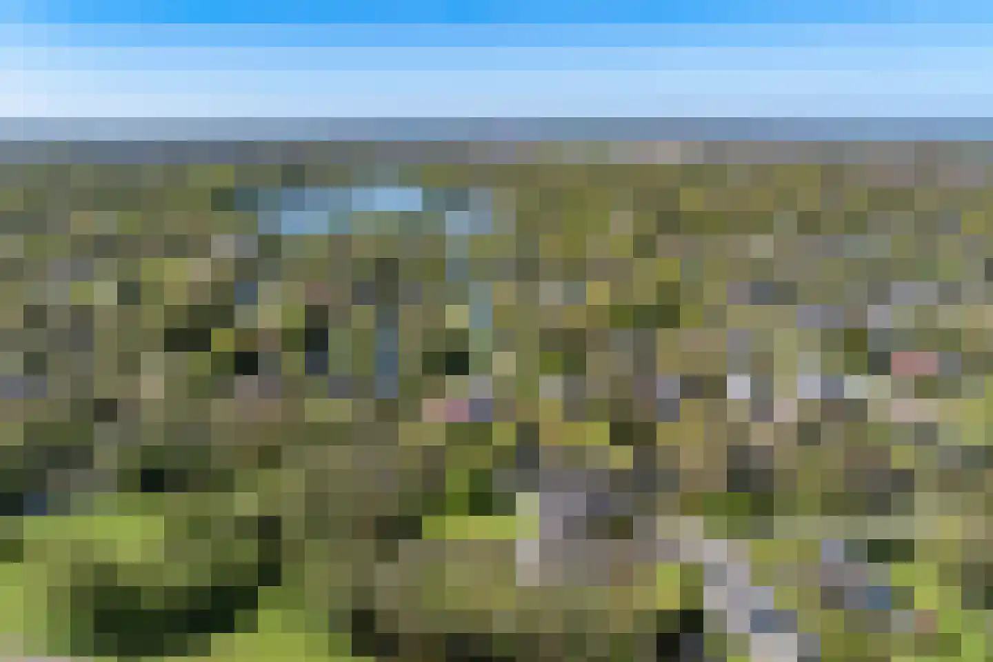 Kemphaan 1 Zuid-Scharwoude thumbnail 5