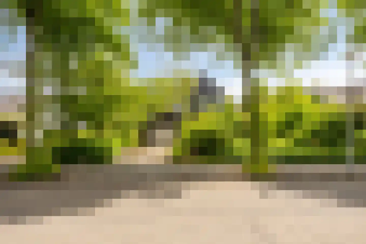 Kemphaan 13 Castricum thumbnail 5