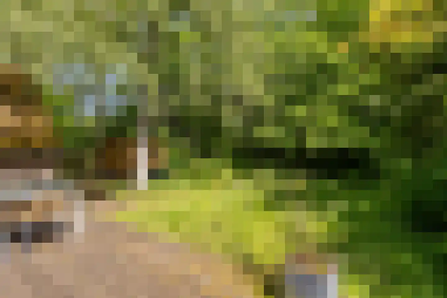 Kemphaan 13 Castricum thumbnail 56