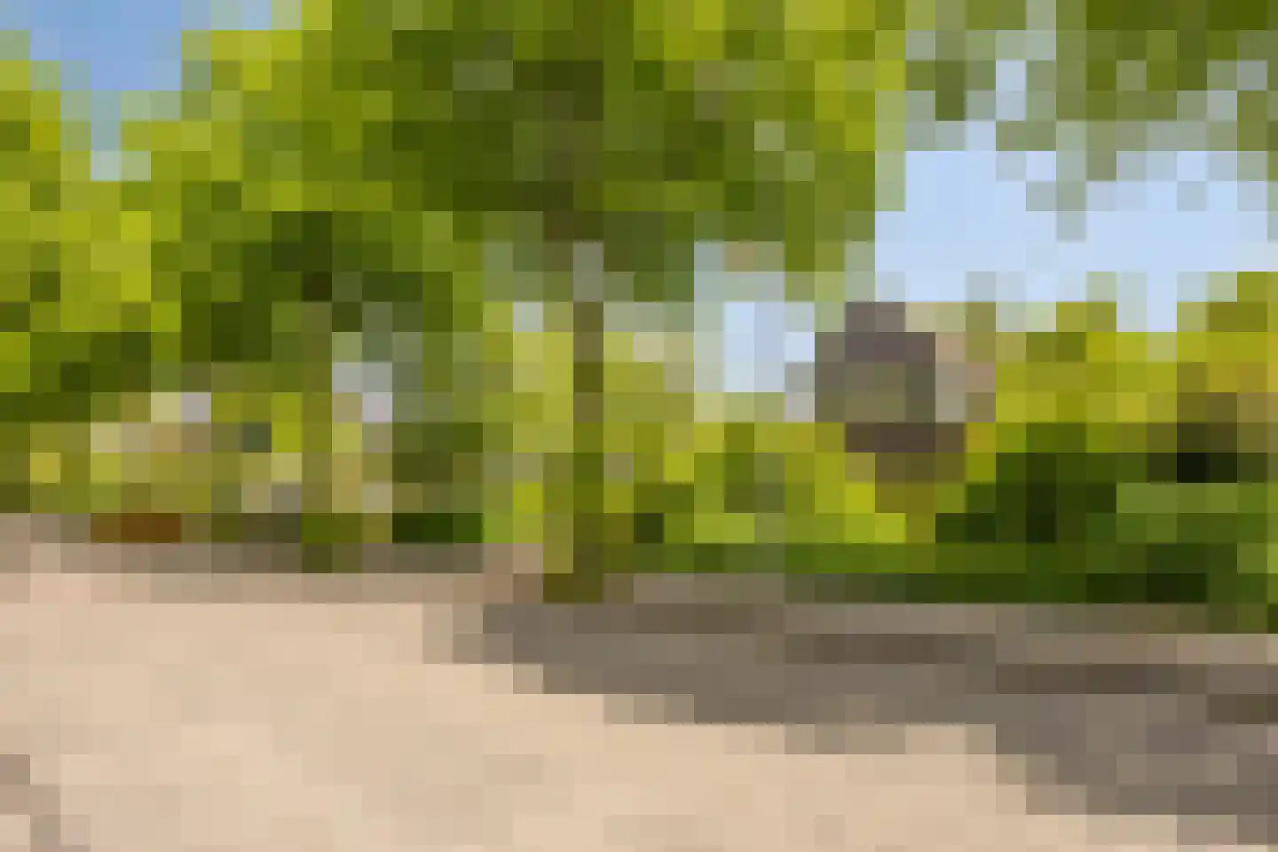 Kemphaan 13 Castricum thumbnail 64