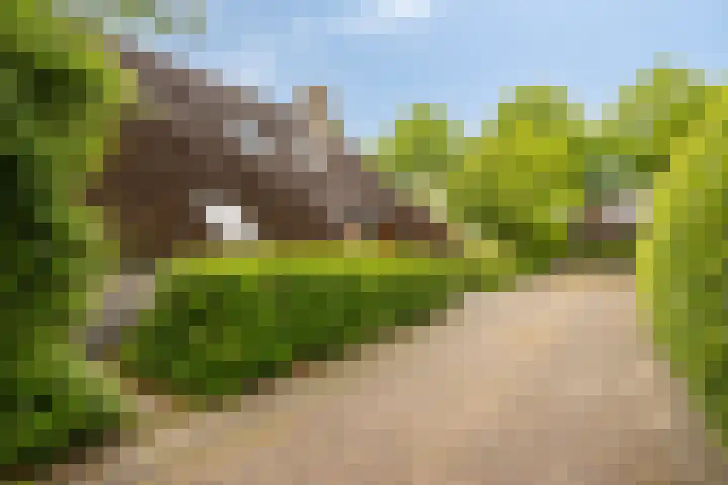 Kemphaan 13 Castricum thumbnail 66
