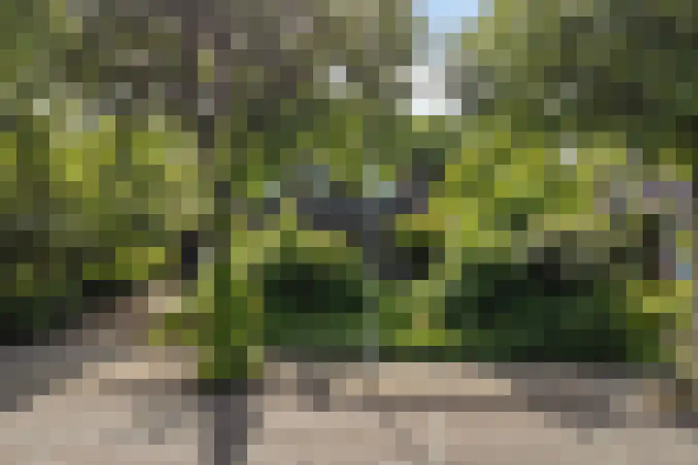 Kemphaan 13 Castricum thumbnail 70