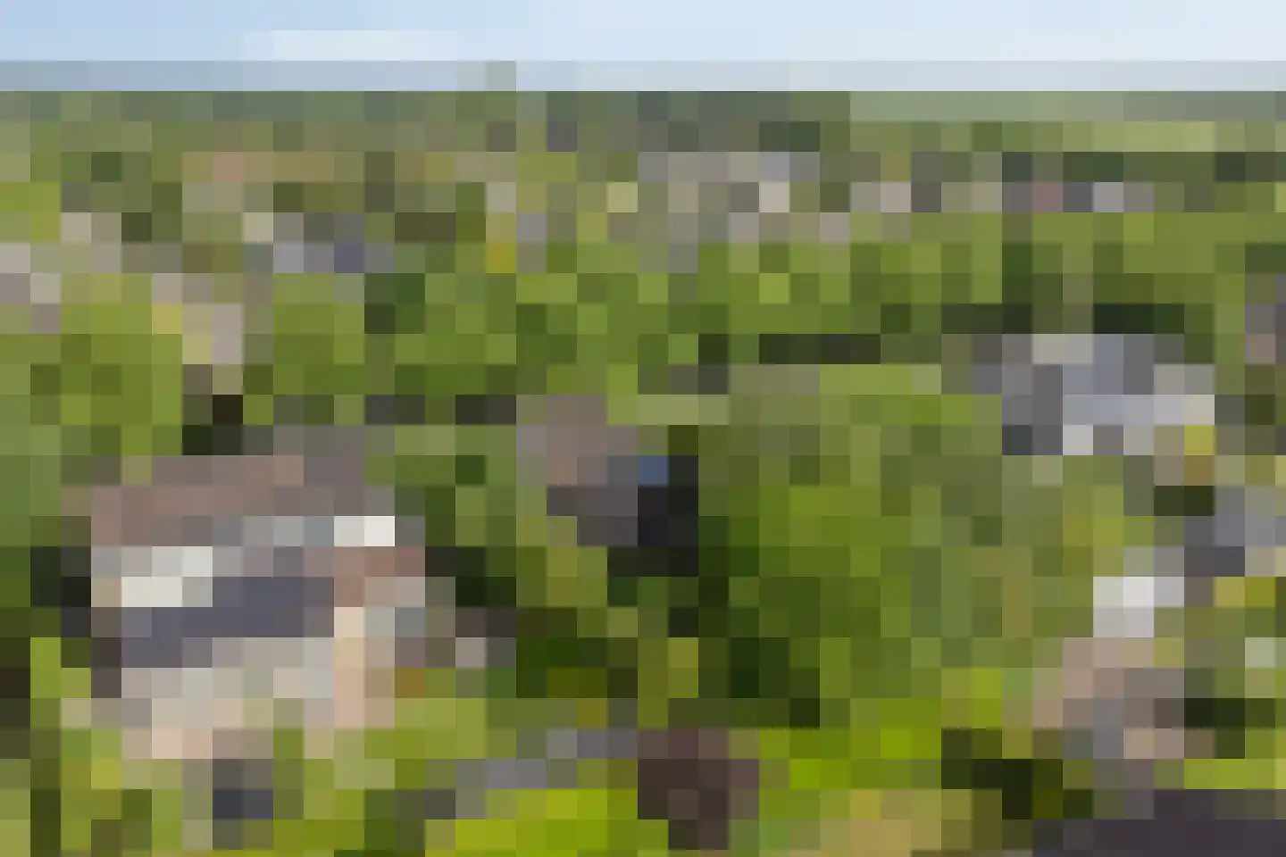 Kemphaan 13 Castricum thumbnail 73