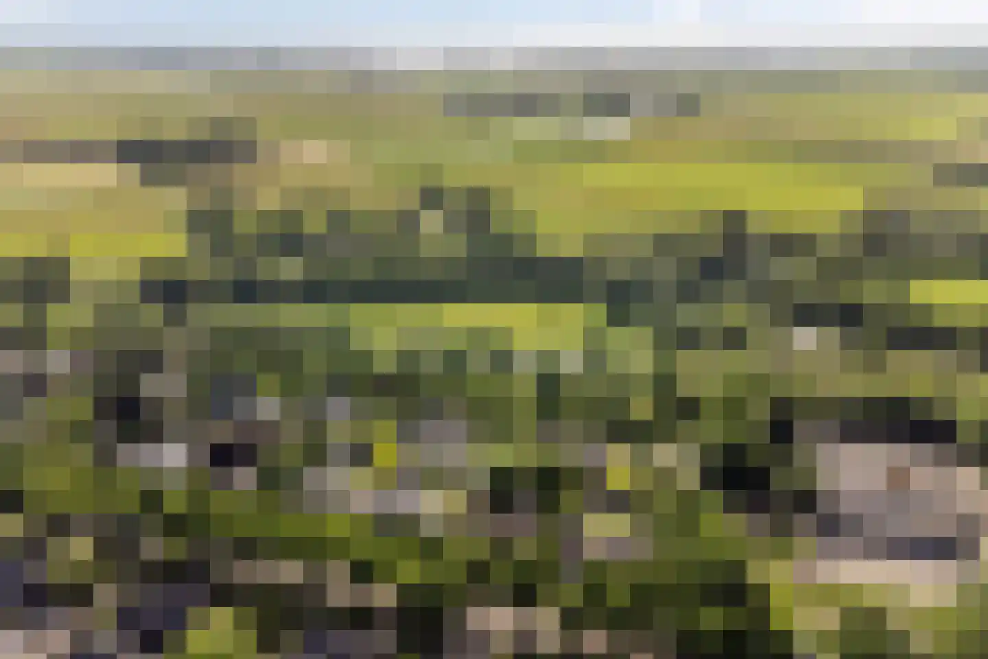 Kemphaan 13 Castricum thumbnail 74