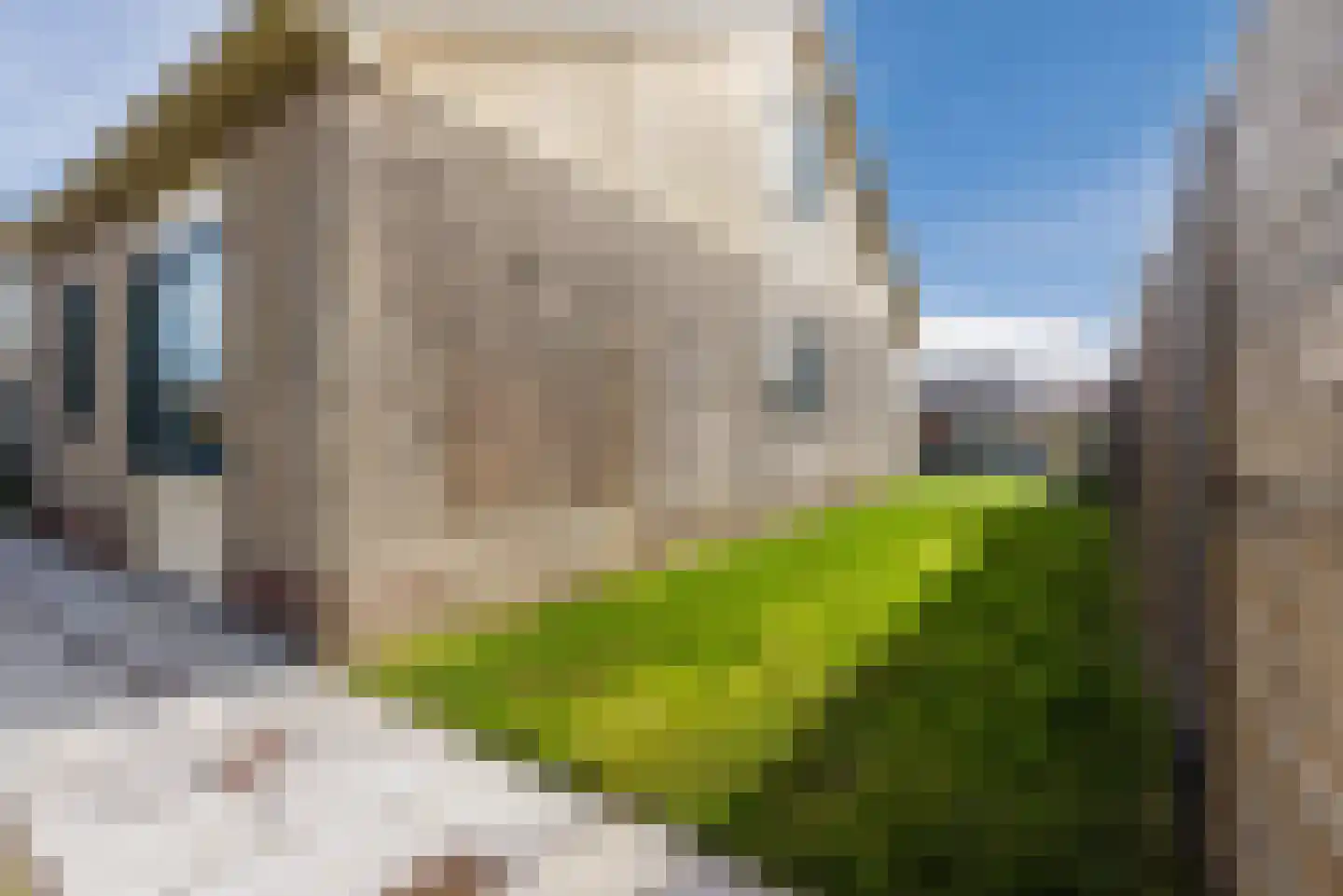Kemphaan 13 Lemmer thumbnail 37