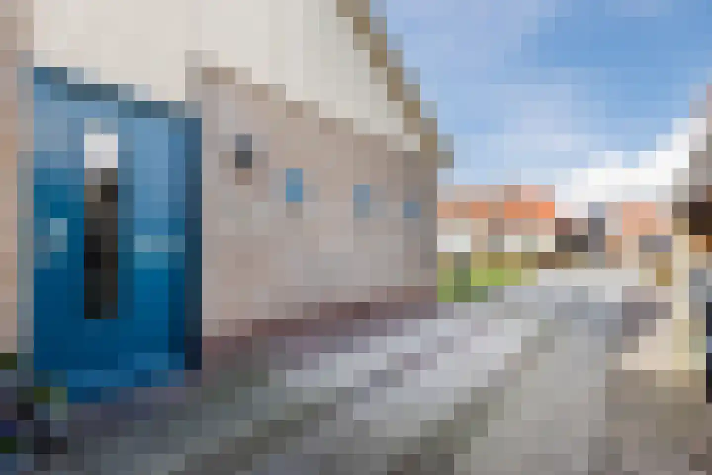 Kemphaan 13 Lemmer thumbnail 8