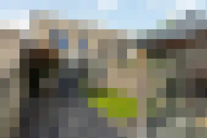 Kemphaan 16 in Raalte